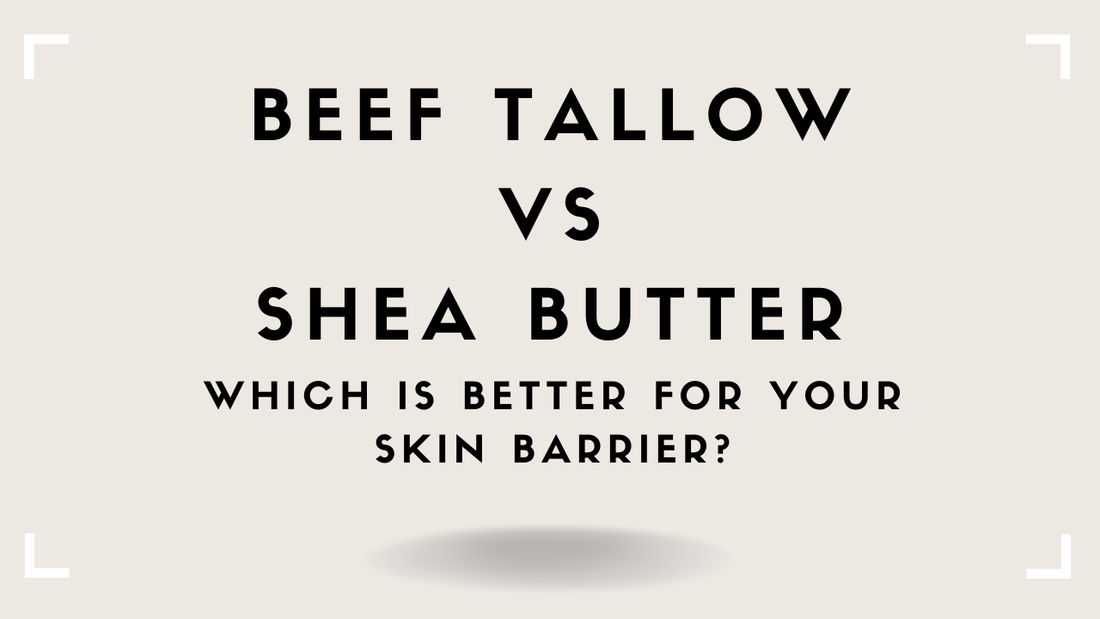 Beef Tallow vs Shea Butter: Which Is Better for Your Skin Barrier?