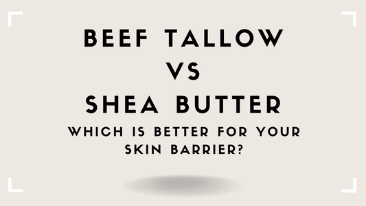 Beef Tallow vs Shea Butter: Which Is Better for Your Skin Barrier?