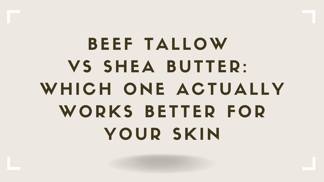 Beef Tallow vs Shea Butter Which One Actually Works Better for Your Skin