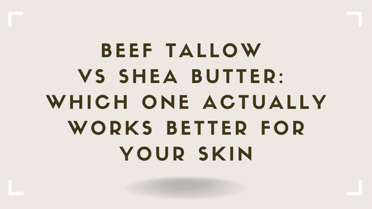 Beef Tallow vs Shea Butter Which One Actually Works Better for Your Skin