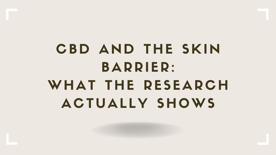 CBD and the Skin Barrier What the Research Actually Shows