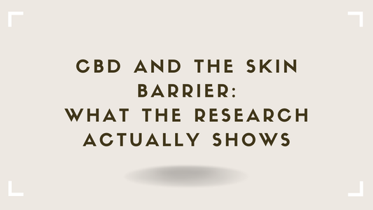CBD and the Skin Barrier What the Research Actually Shows