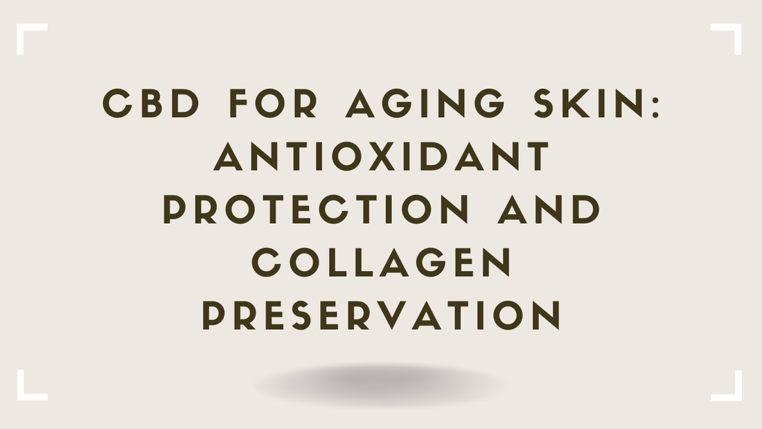 CBD for Aging Skin Antioxidant Protection and Collagen Preservation