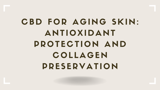 CBD for Aging Skin Antioxidant Protection and Collagen Preservation
