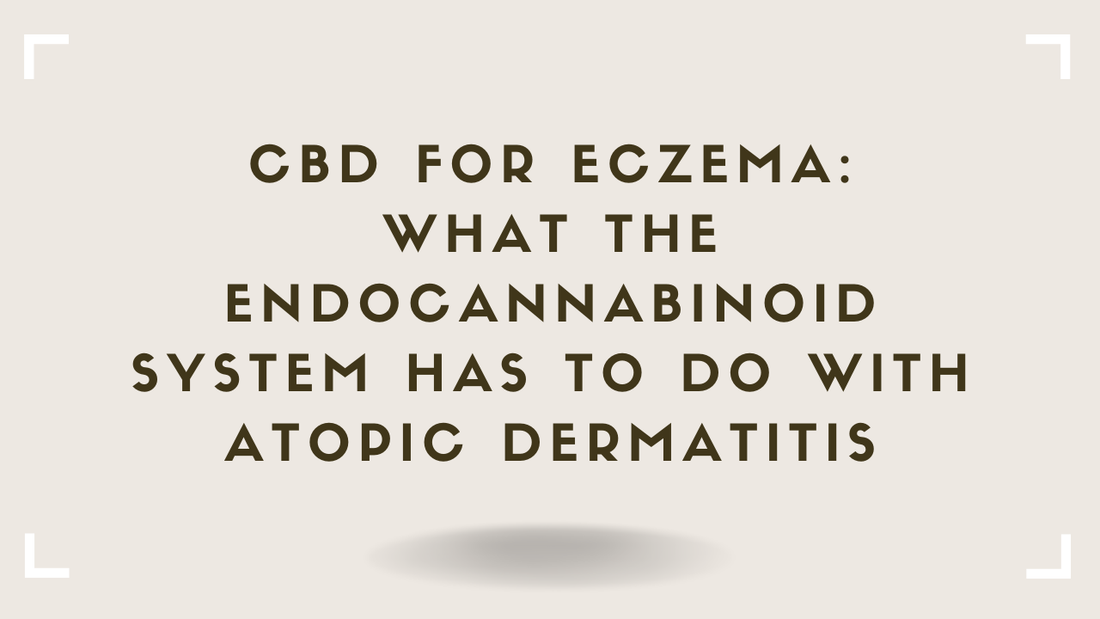 CBD for Eczema What the Endocannabinoid System Has to Do With Atopic Dermatitis
