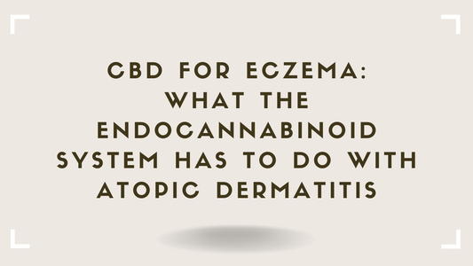 CBD for Eczema What the Endocannabinoid System Has to Do With Atopic Dermatitis