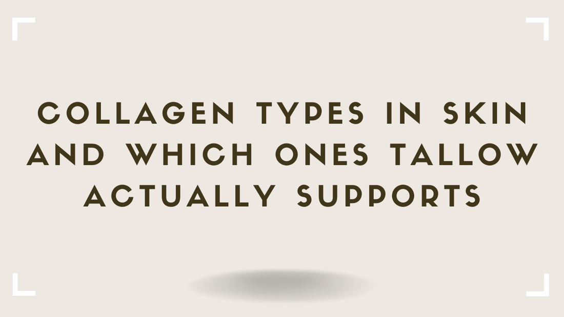 Collagen Types in Skin and Which Ones Tallow Actually Supports