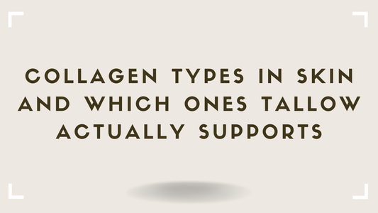 Collagen Types in Skin and Which Ones Tallow Actually Supports