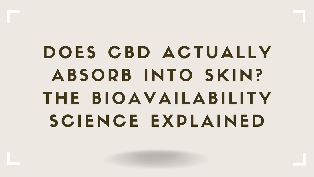 Does CBD Actually Absorb Into Skin The Bioavailability Science Explained