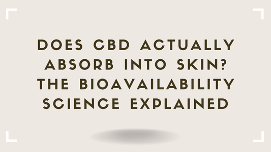 Does CBD Actually Absorb Into Skin The Bioavailability Science Explained
