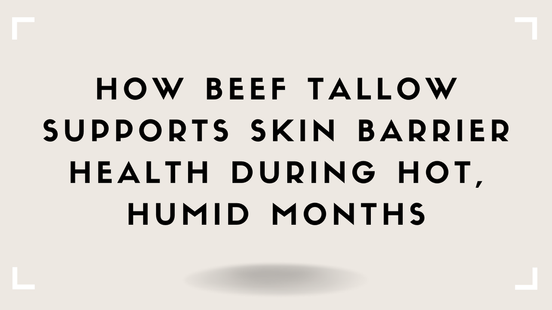 How Beef Tallow Supports Skin Barrier Health During Hot, Humid Months