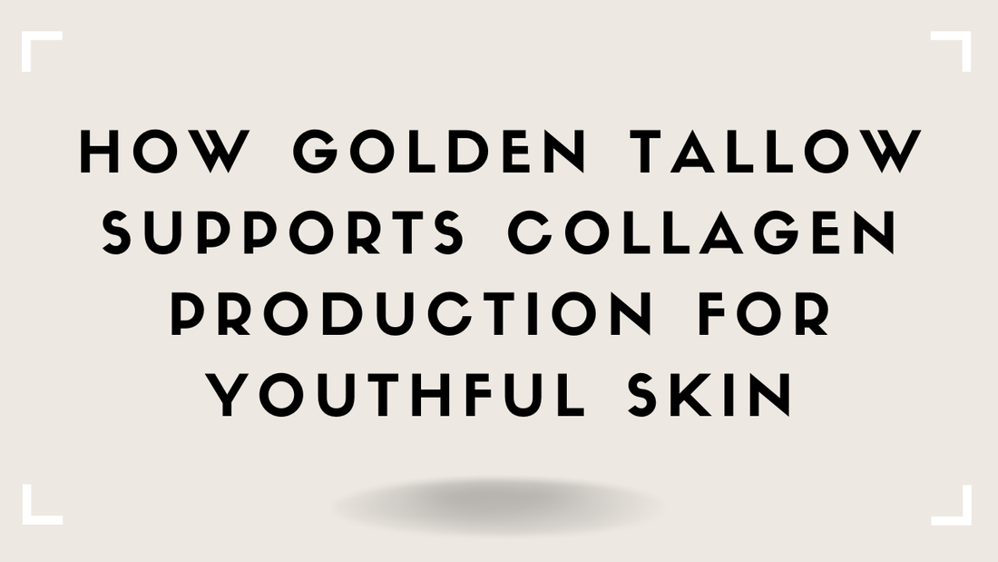 How Golden Tallow Supports Collagen Production for Youthful Skin