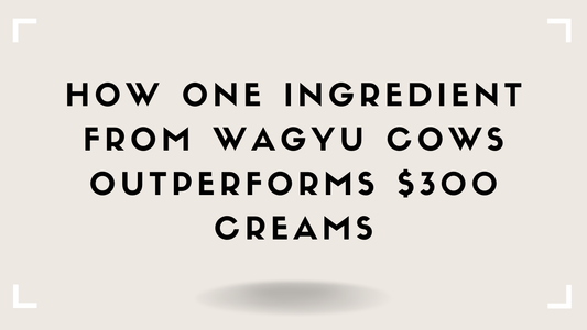How One Ingredient from Wagyu Cows Outperforms $300 Creams