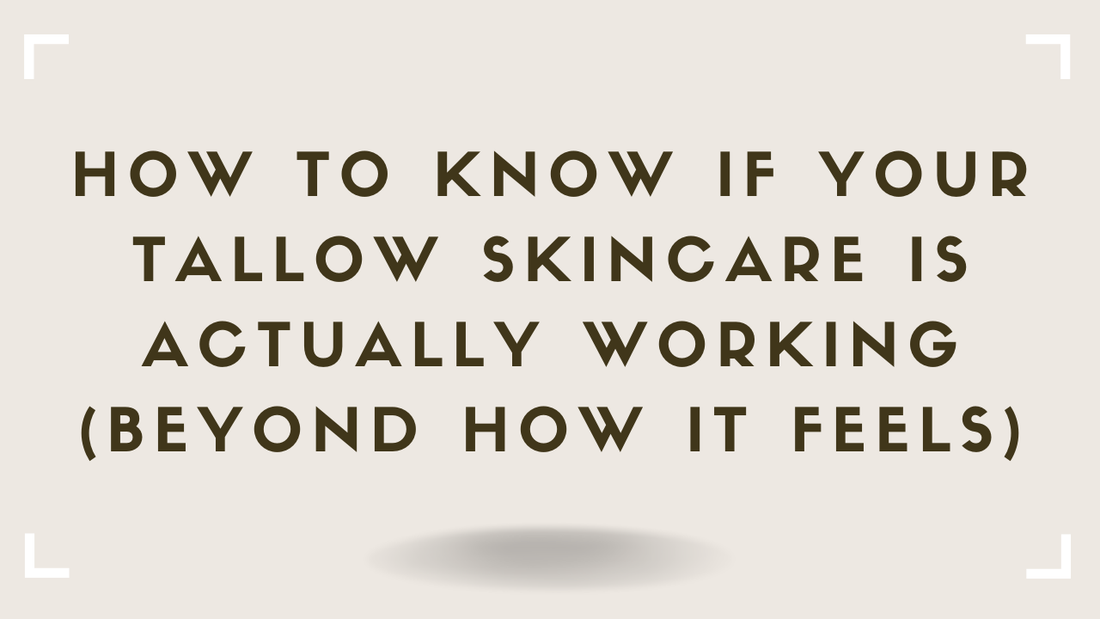 How to Know if Your Tallow Skincare Is Actually Working (Beyond How It Feels)