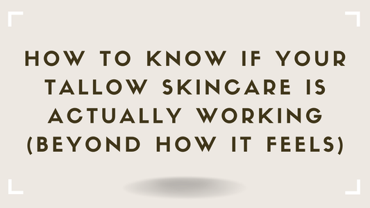 How to Know if Your Tallow Skincare Is Actually Working (Beyond How It Feels)