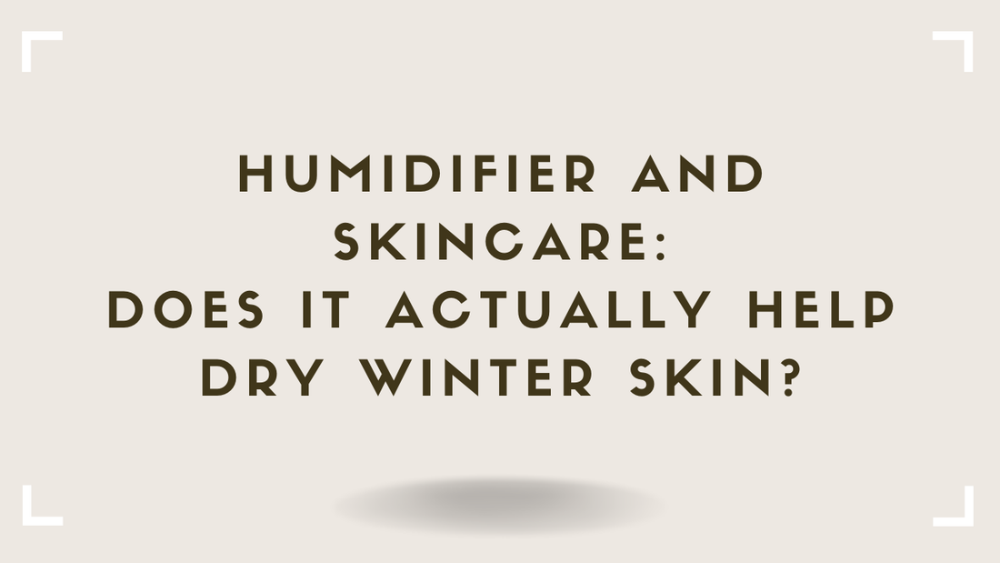 Humidifier and Skincare Does It Actually Help Dry Winter Skin