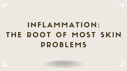 Inflammation The Root of Most Skin Problems
