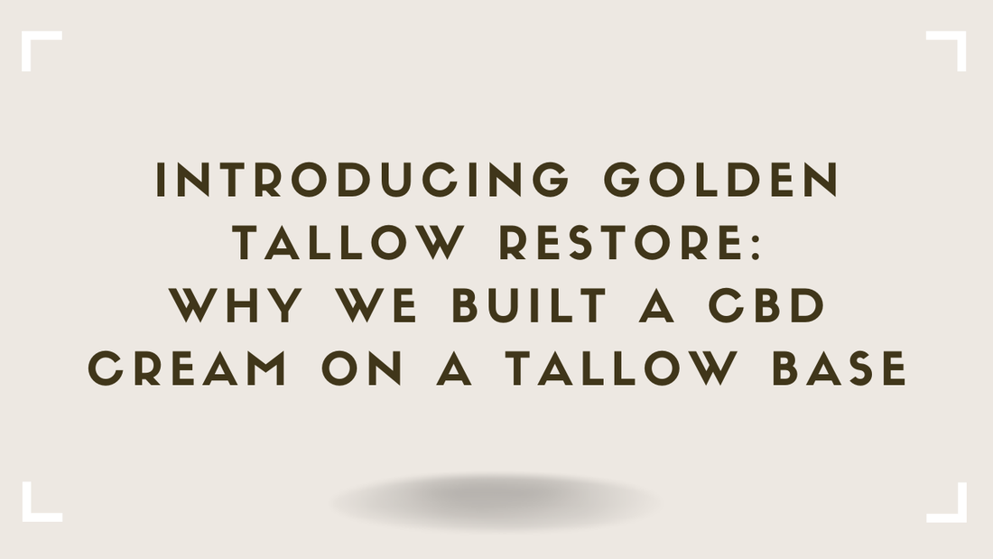 Introducing Golden Tallow Restore Why We Built a CBD Cream on a Tallow Base