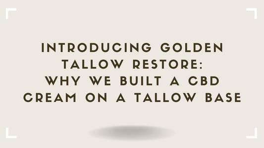 Introducing Golden Tallow Restore Why We Built a CBD Cream on a Tallow Base