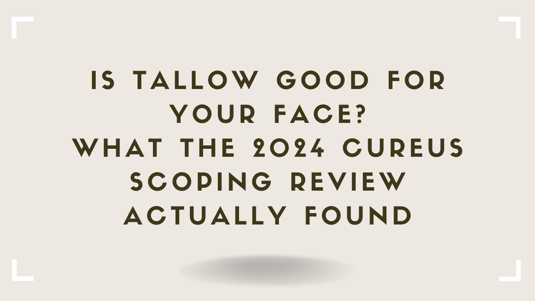 Is Tallow Good for Your Face What the 2024 Cureus Scoping Review Actually Found