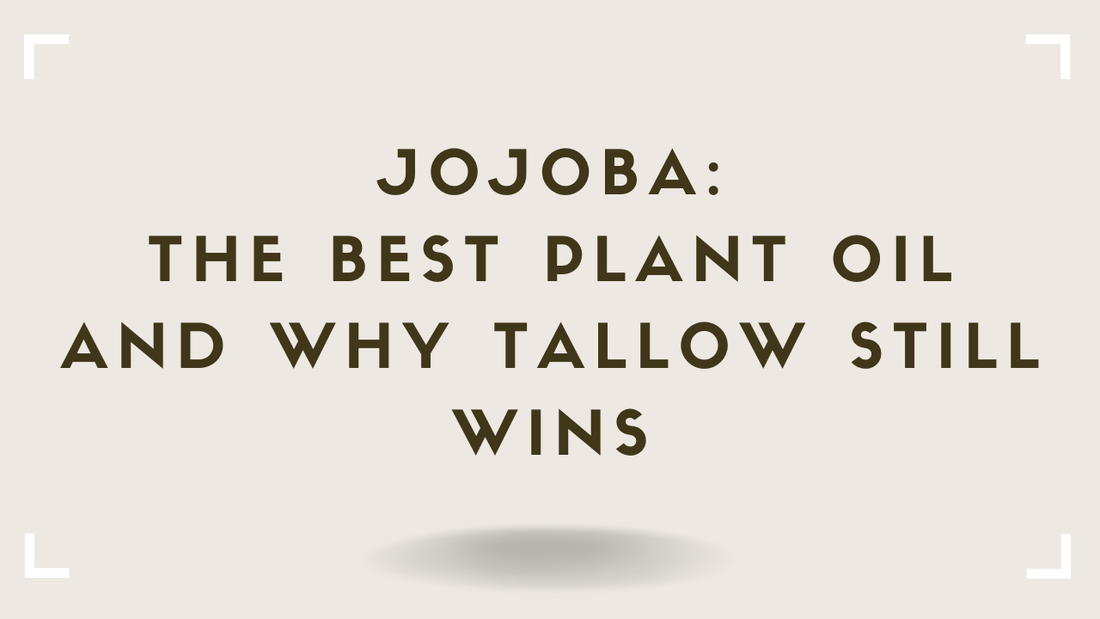 Jojoba: The Best Plant Oil -- And Why Tallow Still Wins