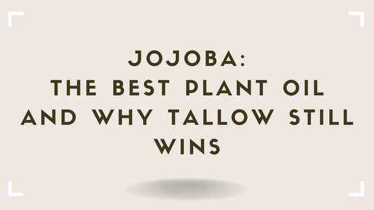 Jojoba: The Best Plant Oil -- And Why Tallow Still Wins