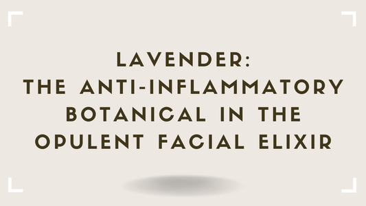 Lavender: The Anti-Inflammatory Botanical in the Opulent Facial Elixir
