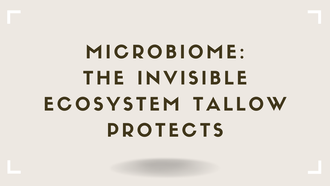 Microbiome The Invisible Ecosystem Tallow Protects