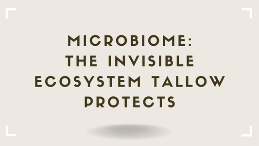 Microbiome The Invisible Ecosystem Tallow Protects