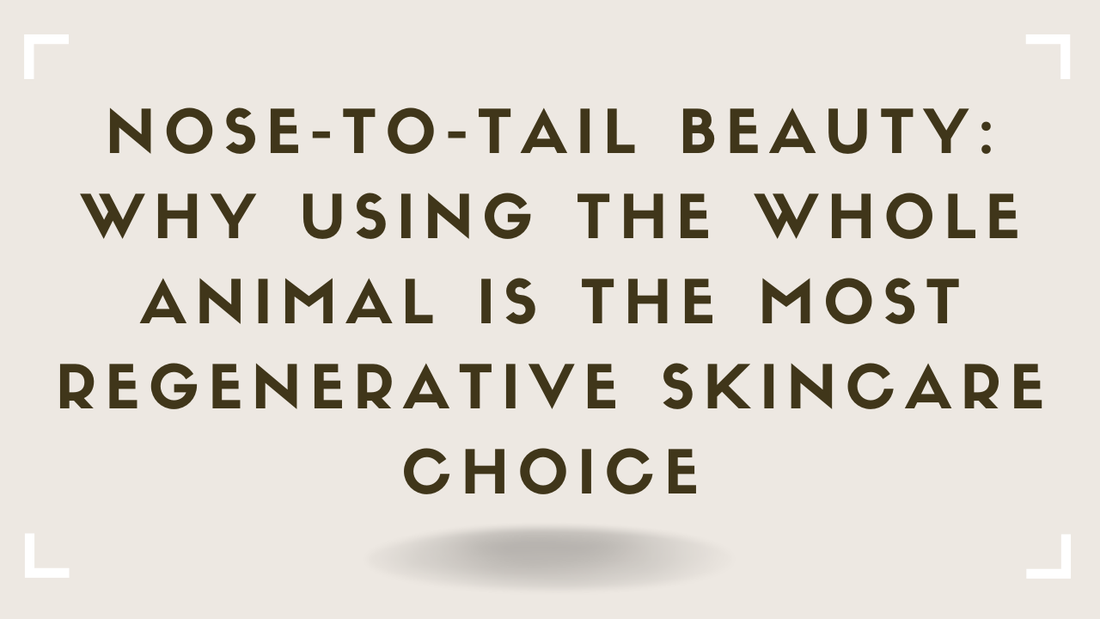 Nose-to-Tail Beauty Why Using the Whole Animal Is the Most Regenerative Skincare Choice