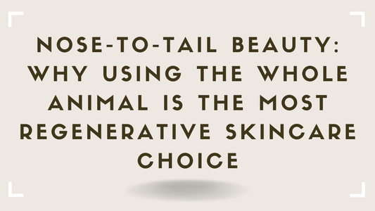 Nose-to-Tail Beauty Why Using the Whole Animal Is the Most Regenerative Skincare Choice