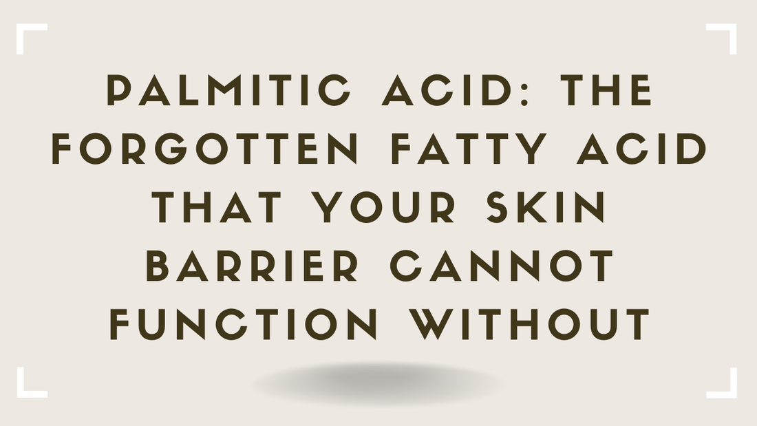 Palmitic Acid The Forgotten Fatty Acid That Your Skin Barrier Cannot Function Without