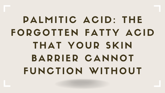 Palmitic Acid The Forgotten Fatty Acid That Your Skin Barrier Cannot Function Without