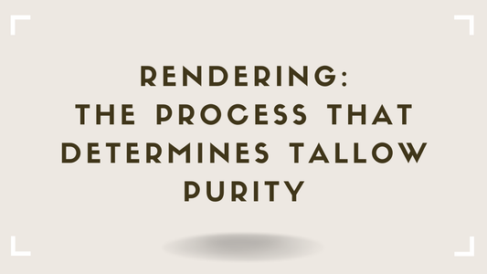 Rendering The Process That Determines Tallow Purity