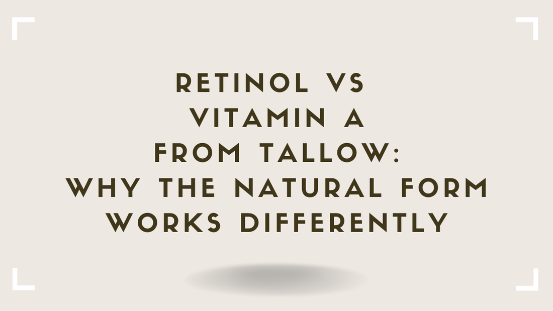Retinol vs Vitamin A From Tallow Why the Natural Form Works Differently