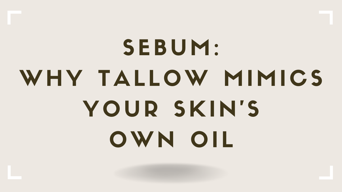 Sebum Why Tallow Mimics Your Skin's Own Oil