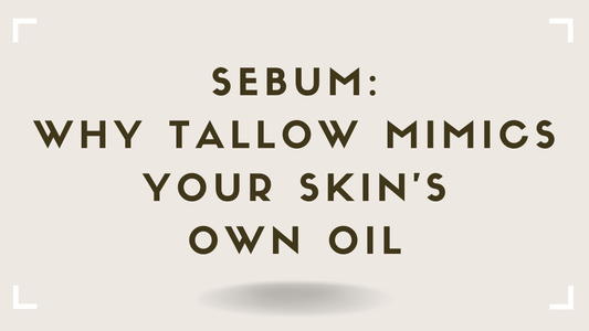 Sebum Why Tallow Mimics Your Skin's Own Oil