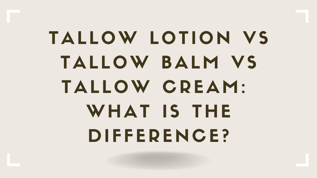 Tallow Lotion vs Tallow Balm vs Tallow Cream: What Is the Difference?