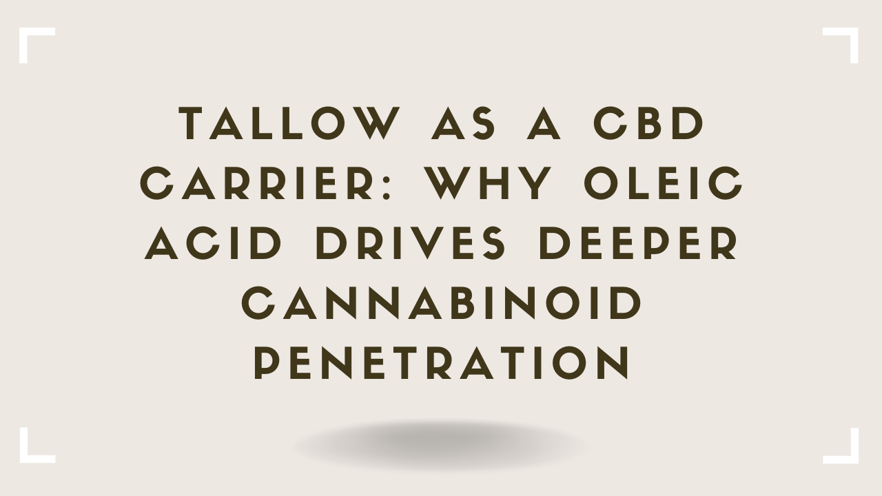 Talee Cbd Tallow as a CBD Carrier: Why Oleic Acid Drives Deeper Penetration ...