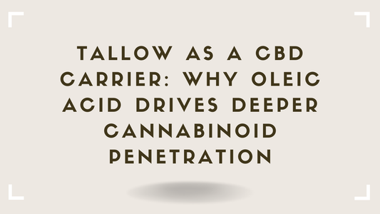Tallow as a CBD Carrier Why Oleic Acid Drives Deeper Cannabinoid Penetration
