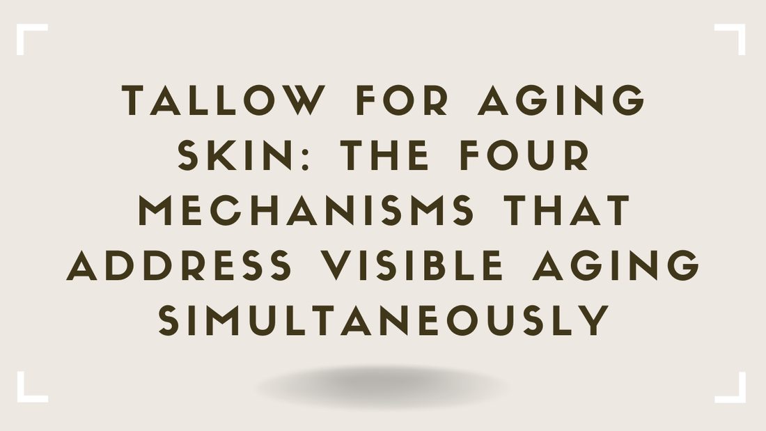 Tallow for Aging Skin The Four Mechanisms That Address Visible Aging Simultaneously