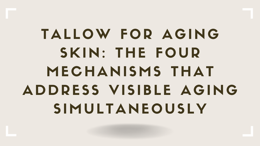 Tallow for Aging Skin The Four Mechanisms That Address Visible Aging Simultaneously