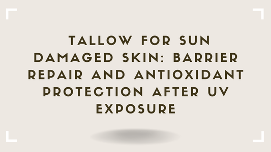 Tallow for Sun Damaged Skin Barrier Repair and Antioxidant Protection After UV Exposure