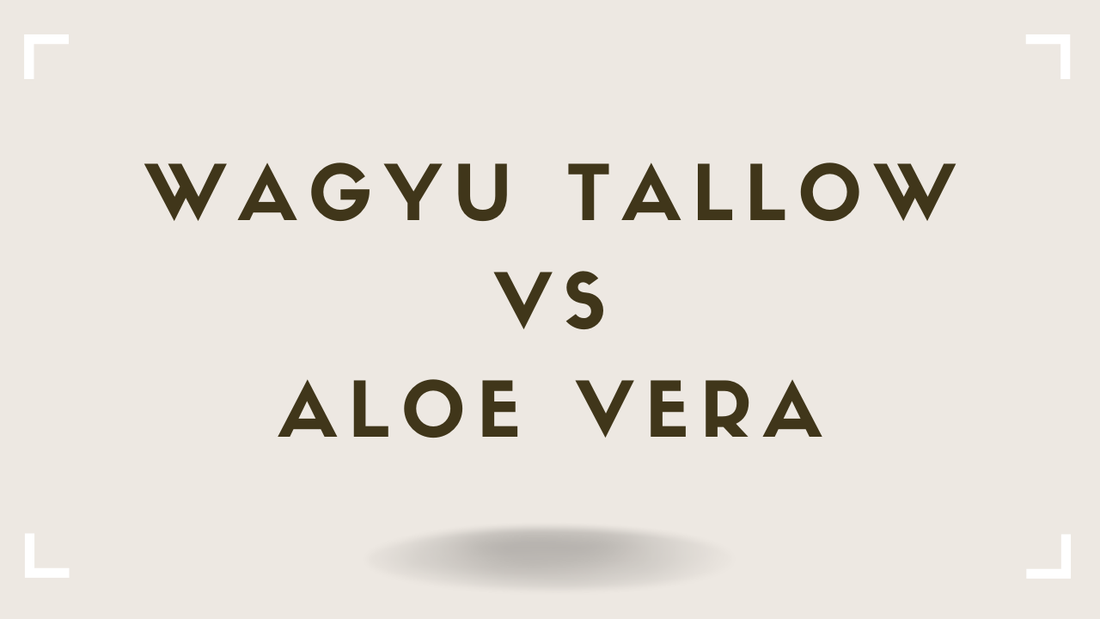Tallow vs Aloe Vera Which Does More for Your Skin
