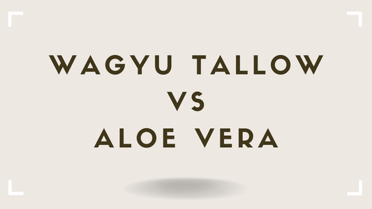 Tallow vs Aloe Vera Which Does More for Your Skin