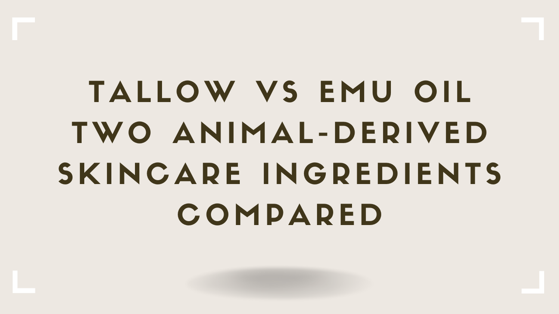 Tallow vs Emu Oil: Two Animal-Derived Skincare Ingredients Compared