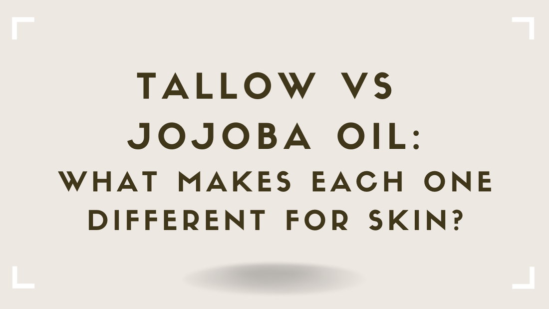 Tallow vs Jojoba Oil: What Makes Each One Different for Skin?