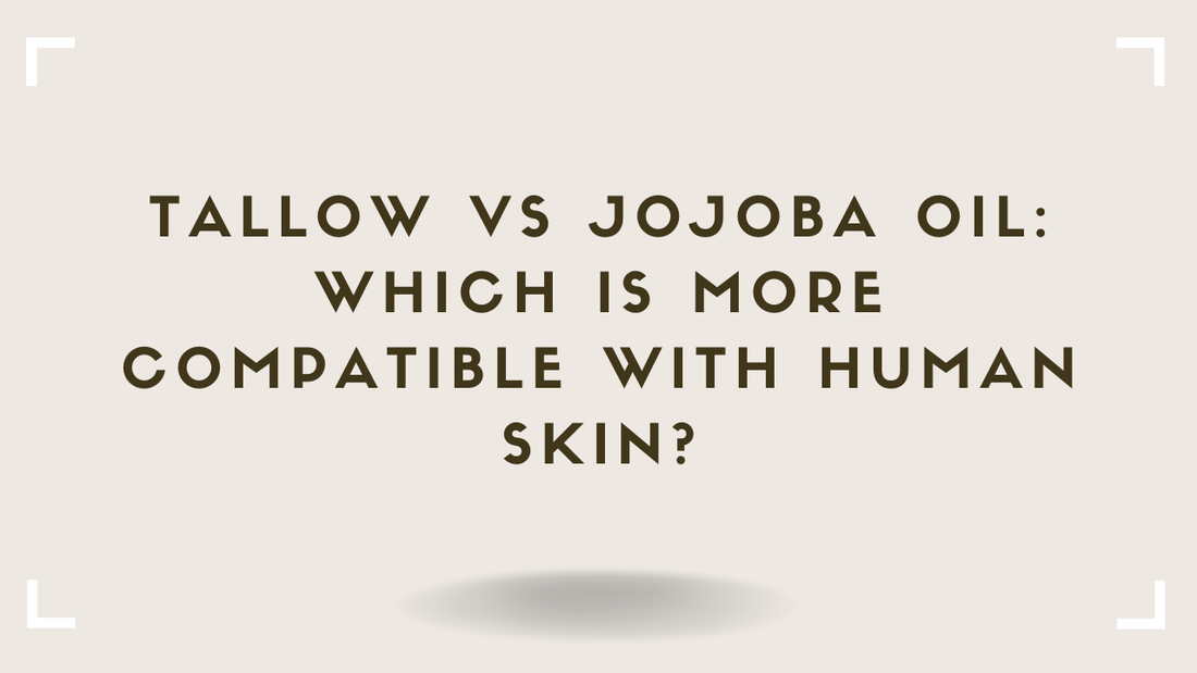 Tallow vs Jojoba Oil Which Is More Compatible With Human Skin