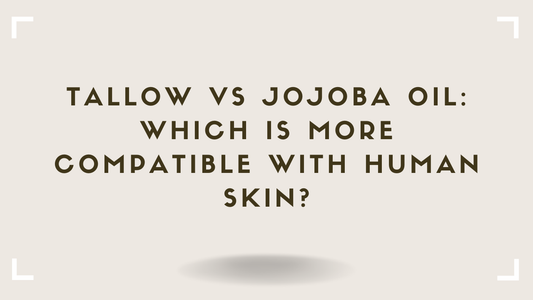 Tallow vs Jojoba Oil Which Is More Compatible With Human Skin