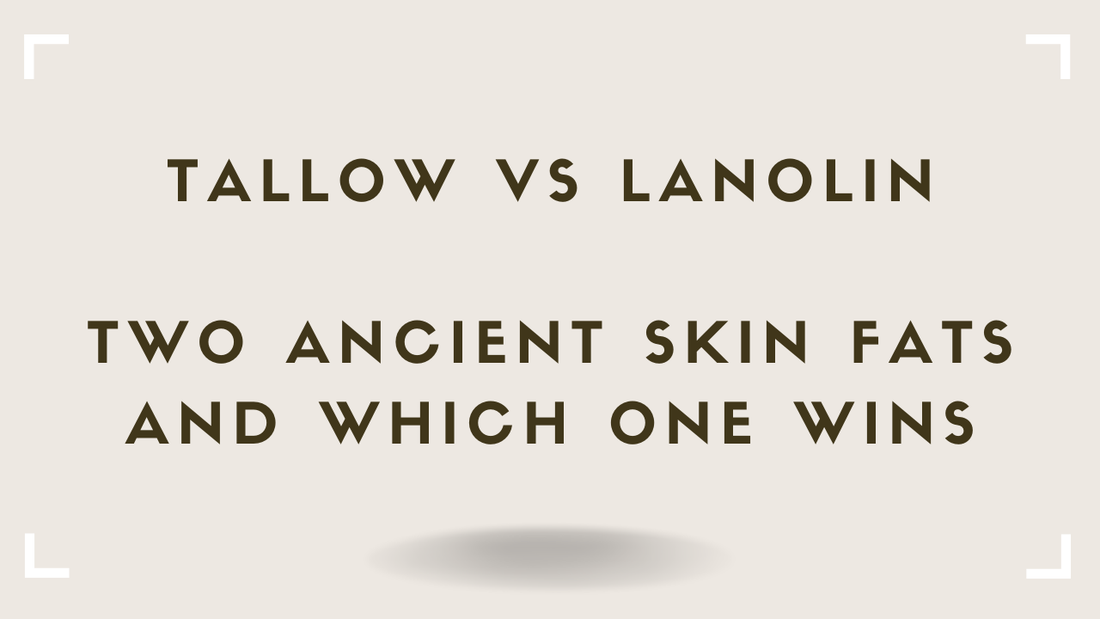 Tallow vs Lanolin: Two Ancient Skin Fats and Which One Wins